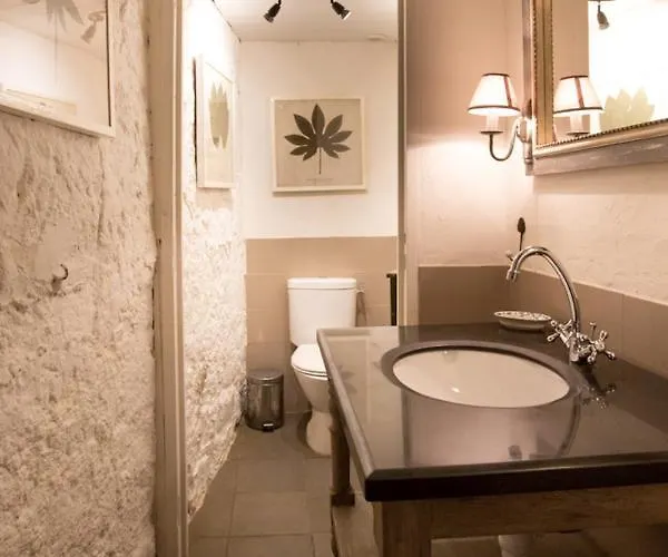 Chateau De Pleneselve Vakantiehuis