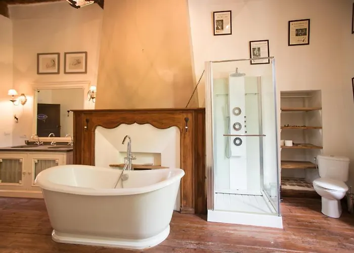 Chateau De Pleneselve * Bon-Encontre