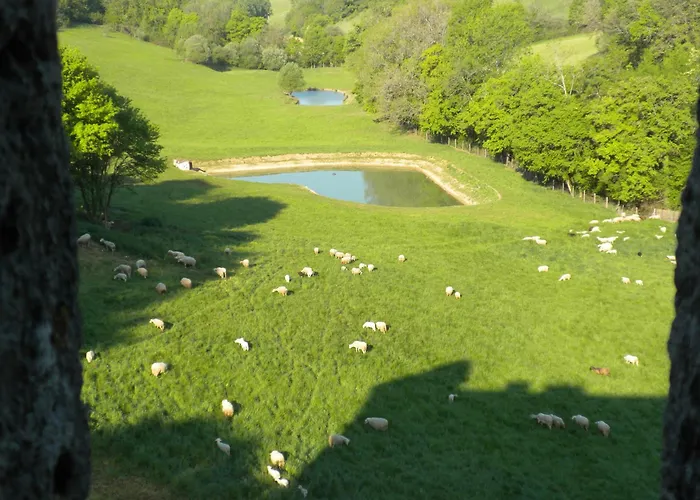 Chateau De Pleneselve Bon-Encontre